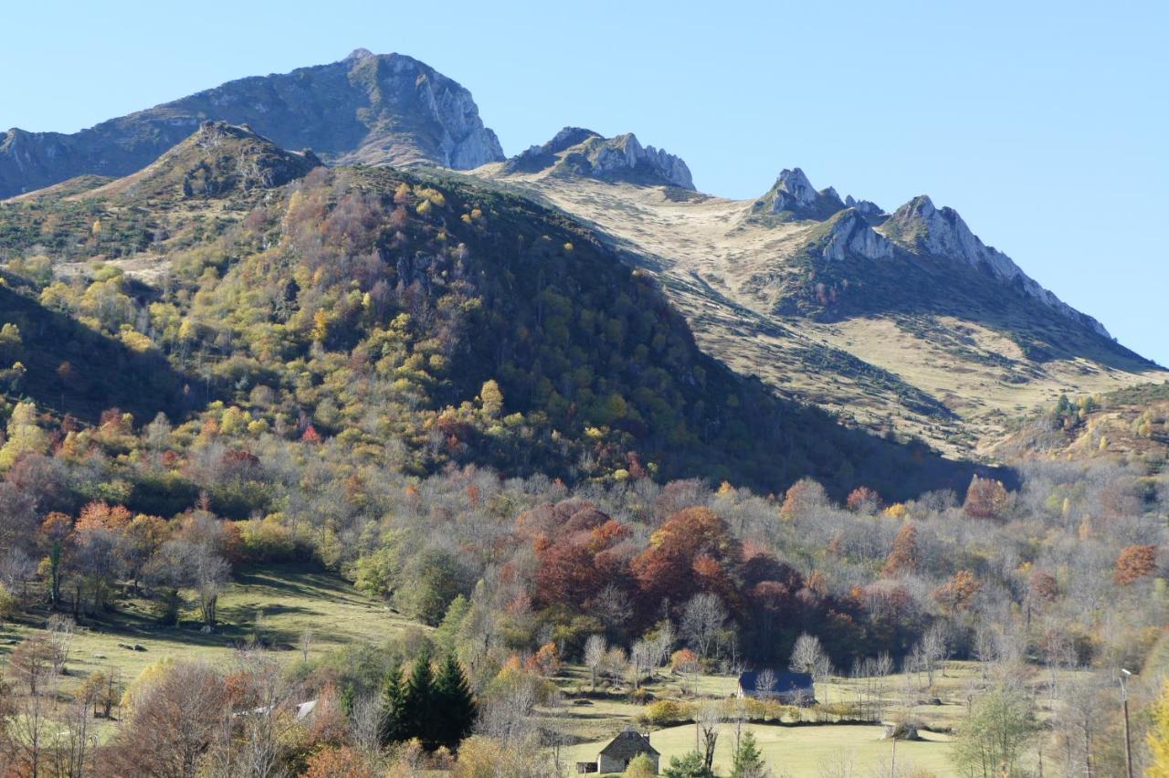 Appartement Habas Estaing Hautes Pyrenees Val D'Azun Exterior photo