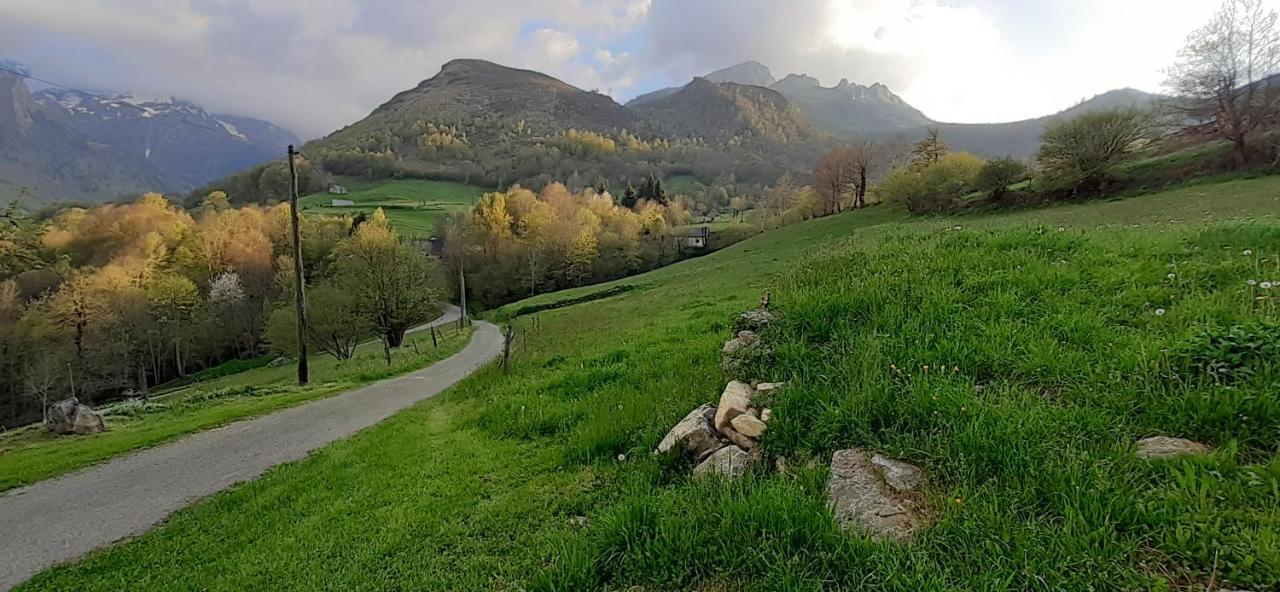 Appartement Habas Estaing Hautes Pyrenees Val D'Azun Exterior photo